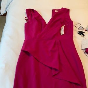 Pink Eliza J Dress